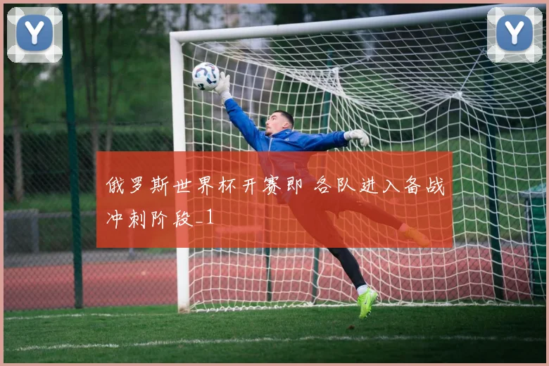 俄罗斯世界杯开赛即 各队进入备战冲刺阶段_1