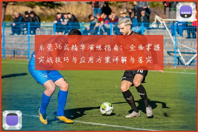 东莞36式精华演练指南：全面掌握实战技巧与应用方案详解与落实
