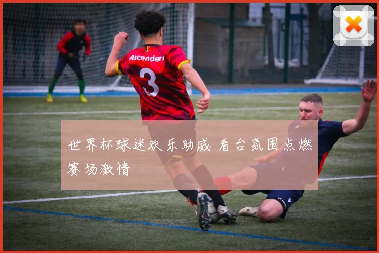 世界杯球迷欢乐助威 看台氛围点燃赛场激情