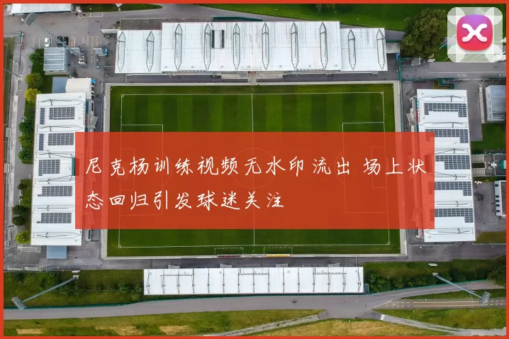 尼克杨训练视频无水印流出 场上状态回归引发球迷关注