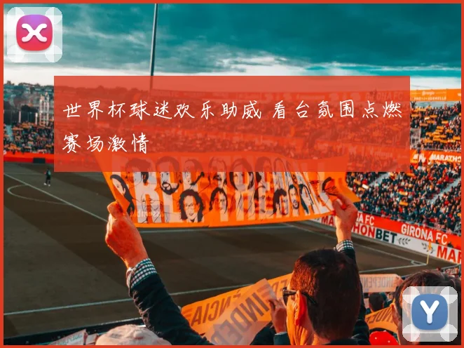 世界杯球迷欢乐助威 看台氛围点燃赛场激情
