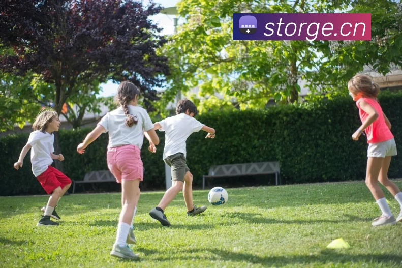 开云「中国」Kaiyun·官方网站 - 国内一流技术服务商平台生态图